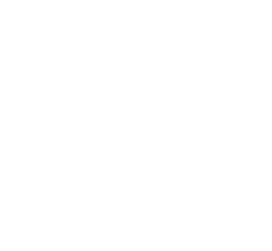 BudgetCam-logo white